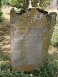image of grave number 503456